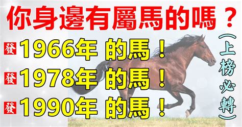 1978屬馬|【1978年 生肖】1978年生肖運勢搶先看！45歲屬馬者必讀！